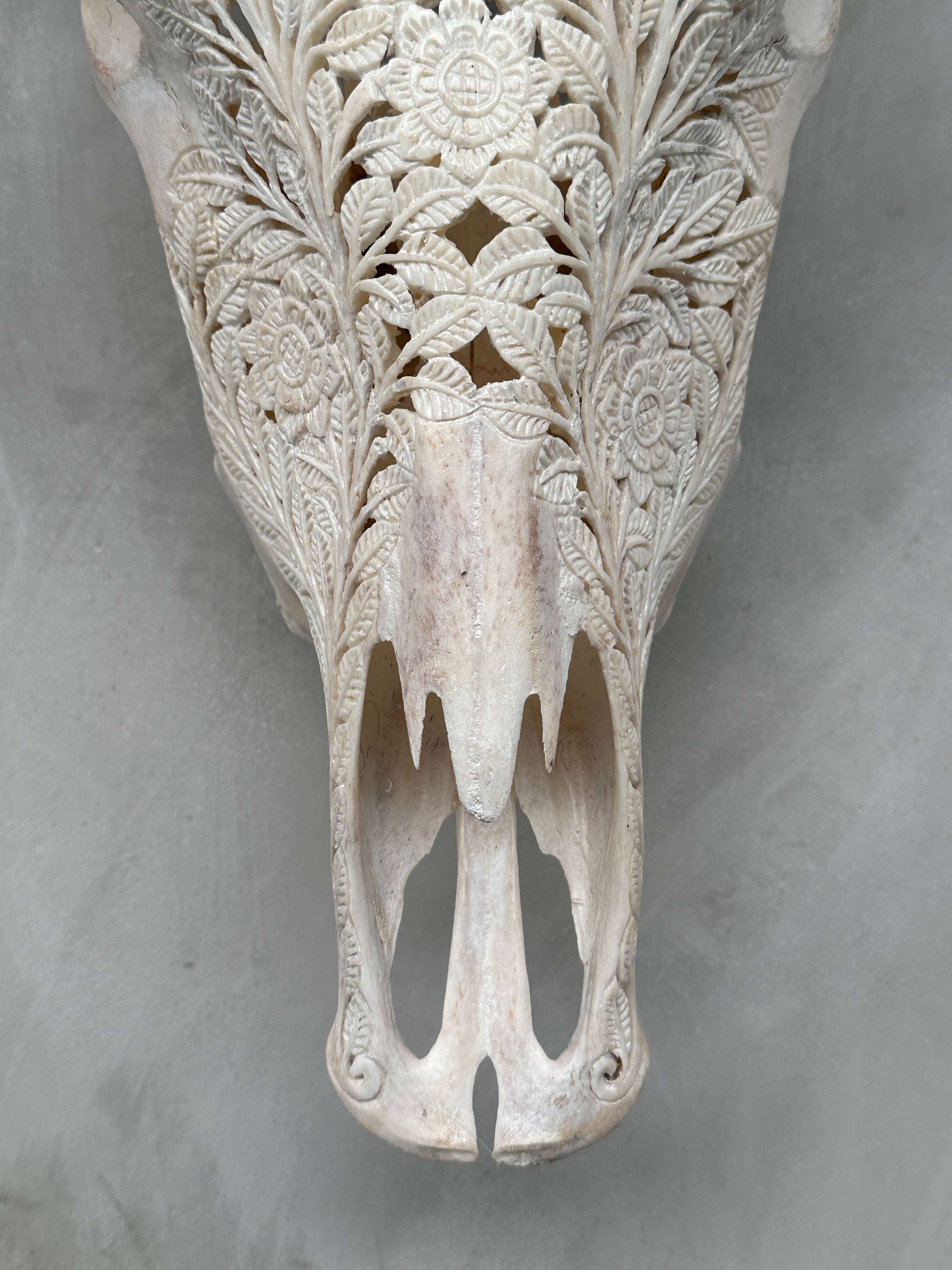 Bull Skull Carved Flower Mandala - Skull,A/047