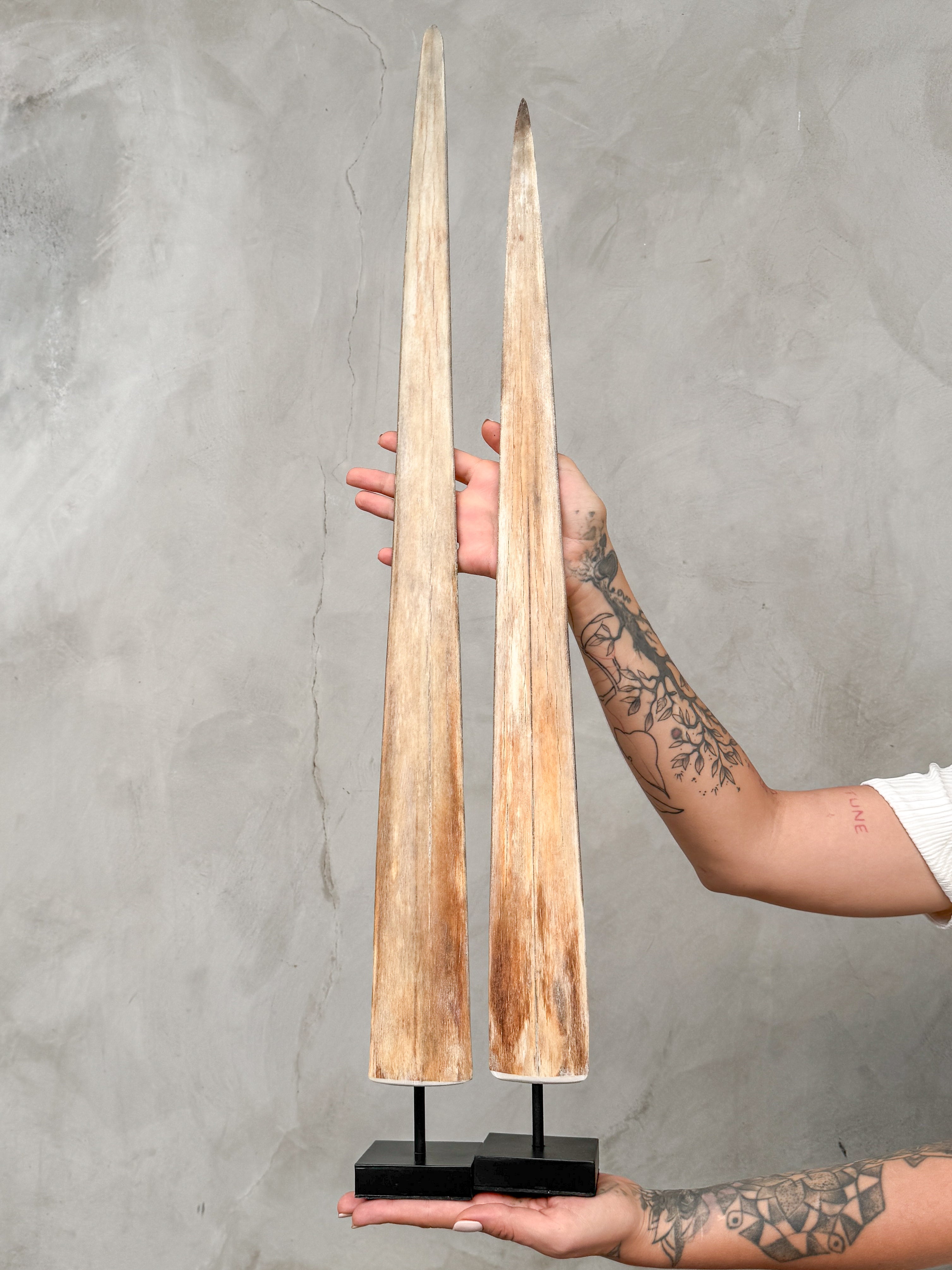 Pair of Natural Tusks on Stand – Bone Sculpture, Tribal Home Decor, Rustic Accent - Tusk,A/046