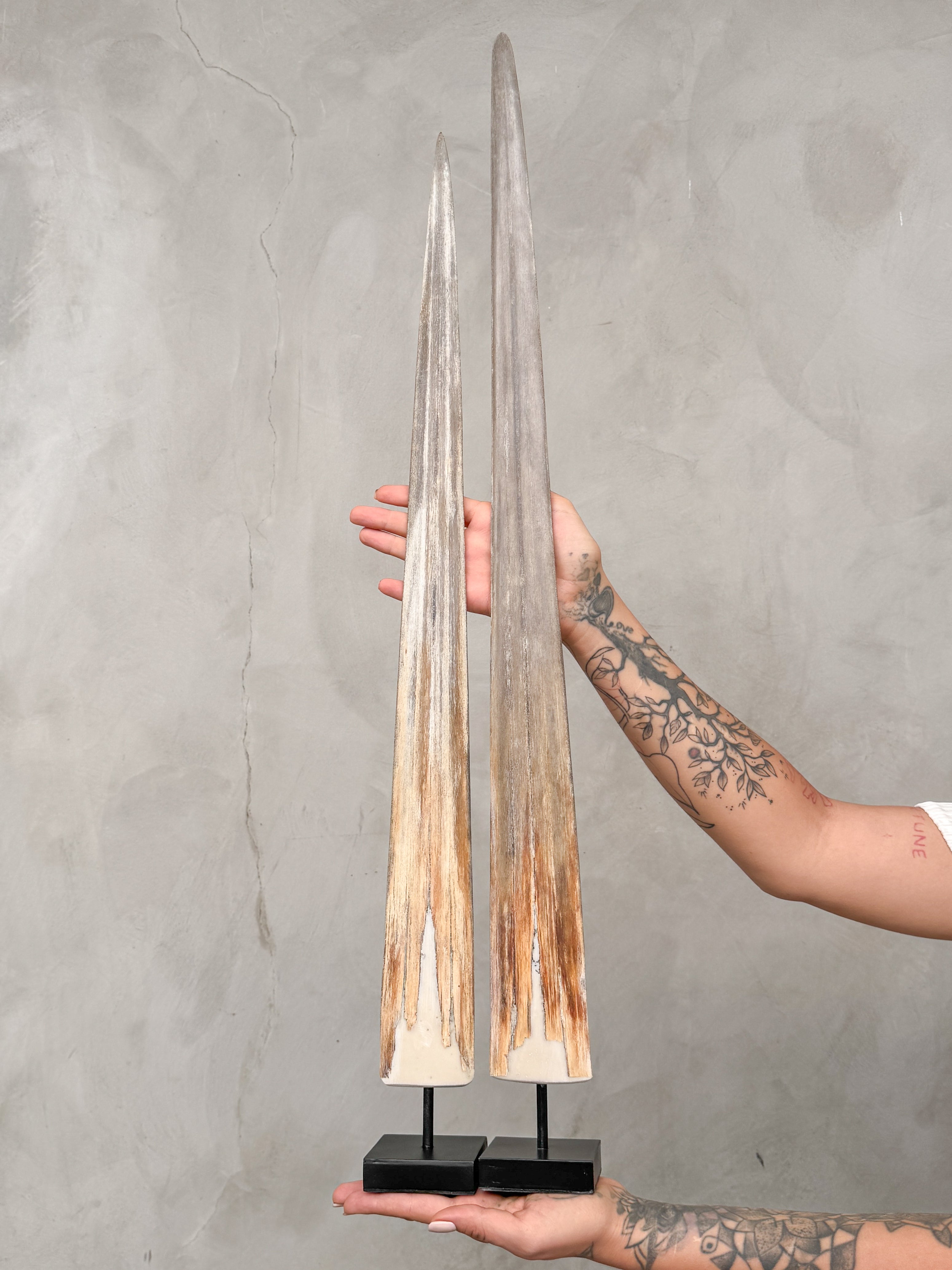 Pair of Natural Tusks on Stand – Bone Sculpture, Tribal Home Decor, Rustic Accent - Tusk,A/046
