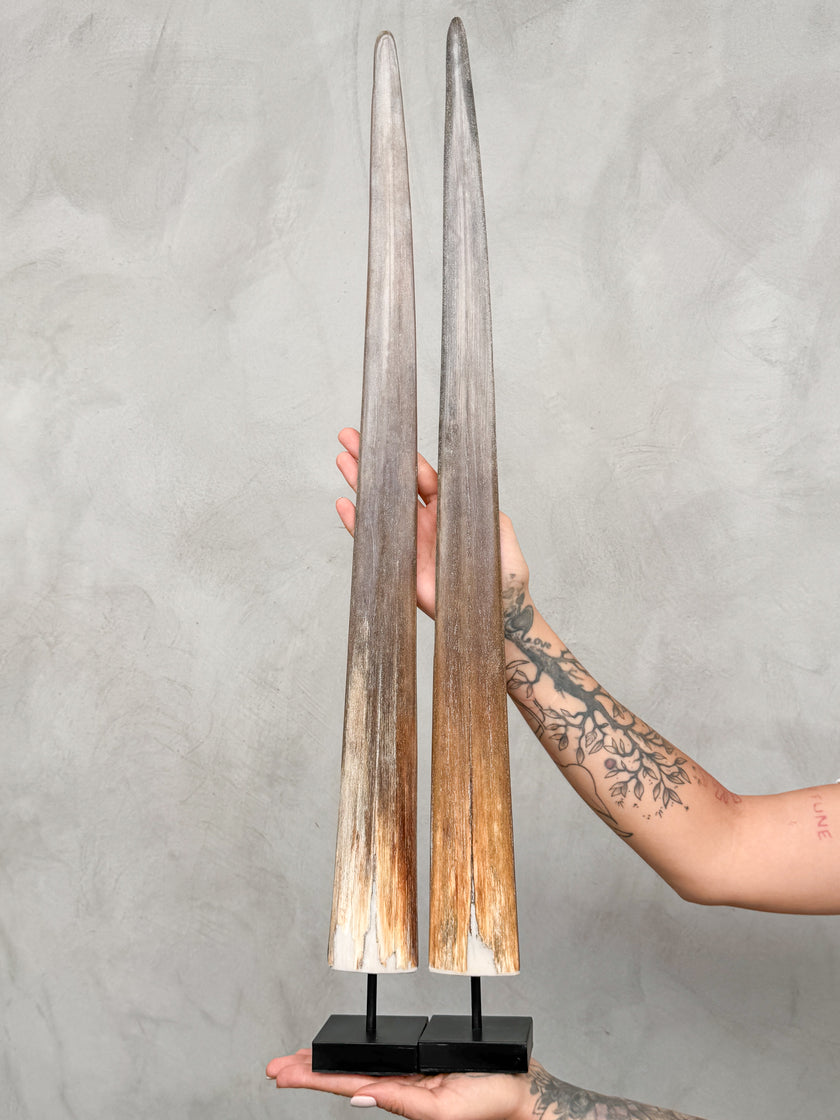 A Pair of Tusks on stand  | Tusk,A/053