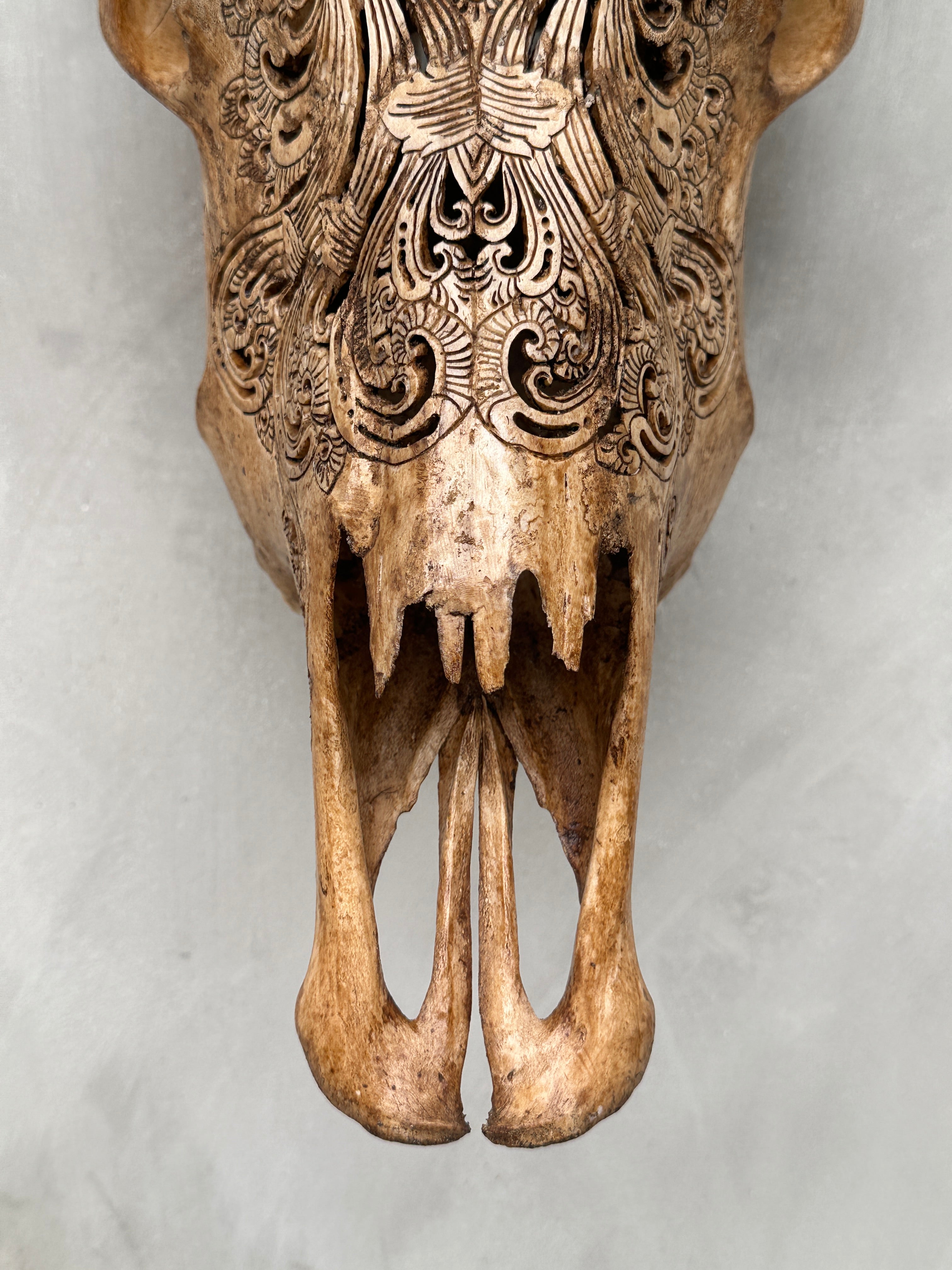 Cow Carved Merak - Skull,A/014