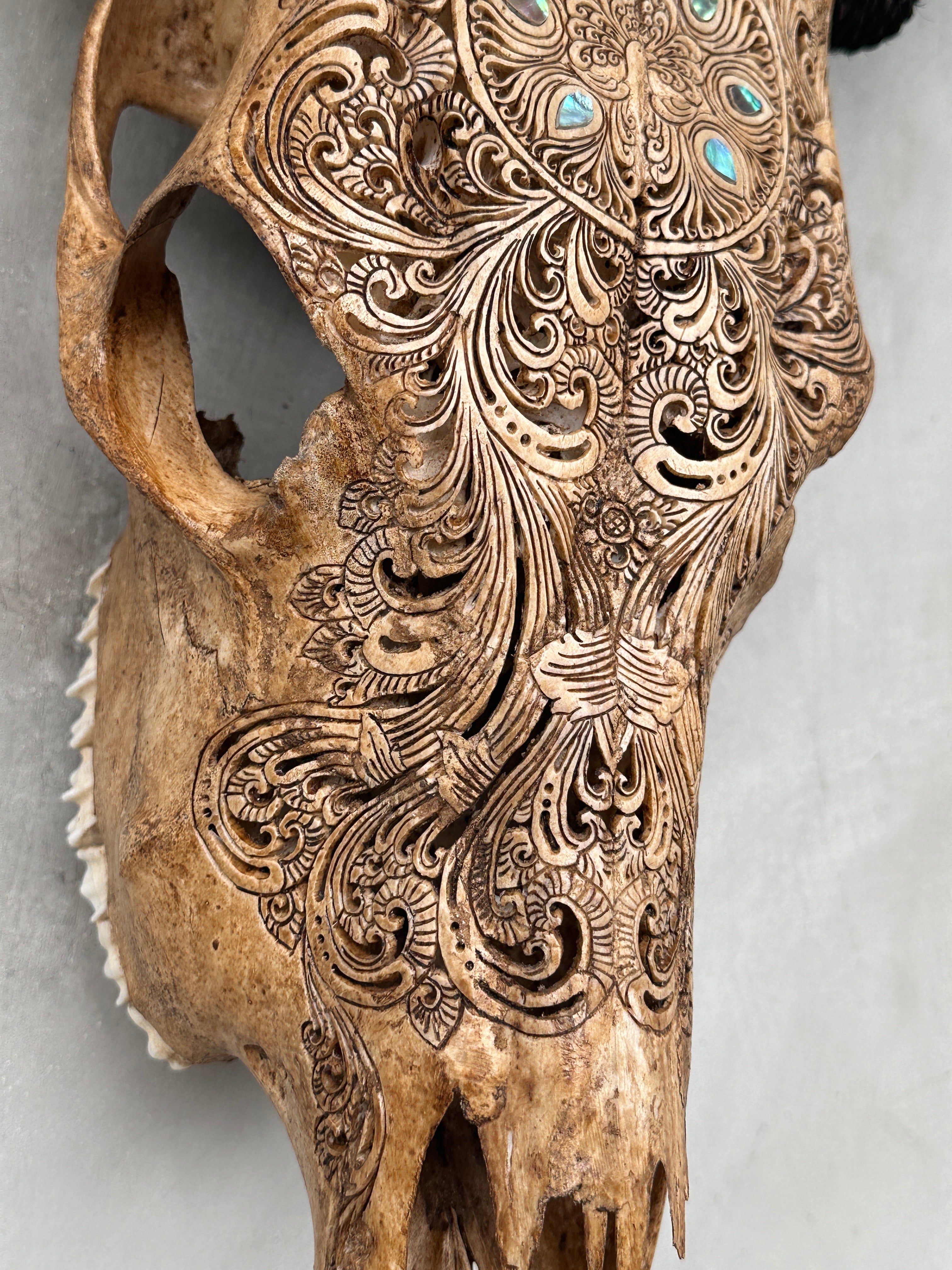 Cow Carved Merak - Skull,A/014