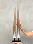 Pair of Natural Tusks on Stand – Rustic Bone Sculpture, Tribal-Inspired Decor, Earthy Accent - Tusk,A/052