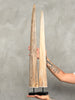 Natural Tusks on Stand – Rustic Tribal Decor – Organic Home Accent – Earthy home interiors - Set of 2 - Tusk,A/056