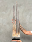 Natural Tusks on Stand – Rustic Tribal Decor – Organic Home Accent – Earthy home interiors - Set of 2 - Tusk,A/056