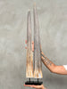Natural Tusks on Stand – Rustic Tribal Decor – Organic Home Accent – Earthy home interiors - Set of 2 - Tusk,A/056