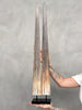 Pair of Natural Tusks on Stand – Rustic Bone Sculpture, Tribal-Inspired Home Accent - Tusk,A/051