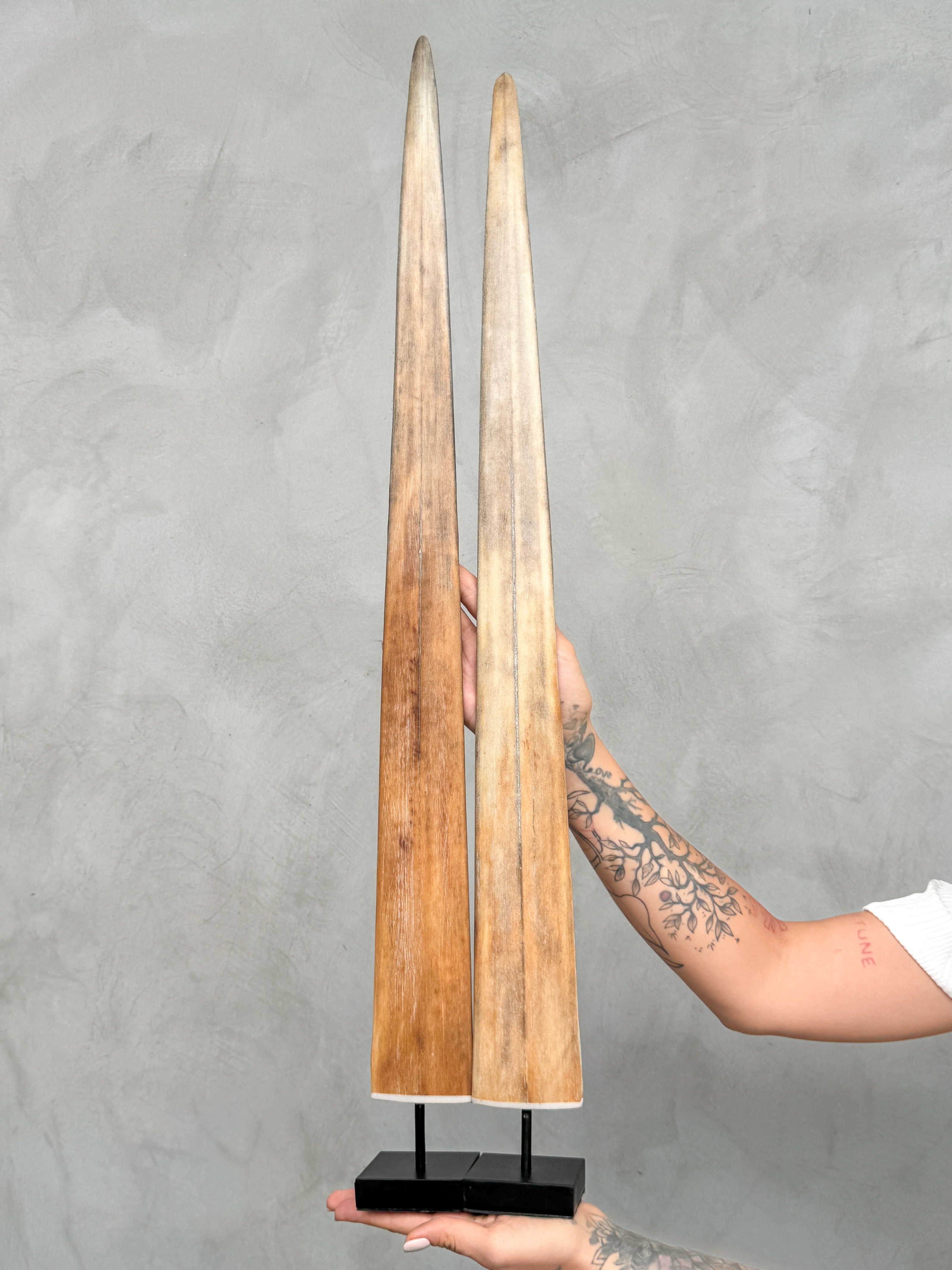Pair of Natural Tusks on Stand – Rustic Bone Sculpture, Tribal-Inspired Home Accent - Tusk,A/051