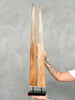 Pair of Natural Tusks on Stand – Rustic Bone Sculpture, Tribal-Inspired Home Accent - Tusk,A/051