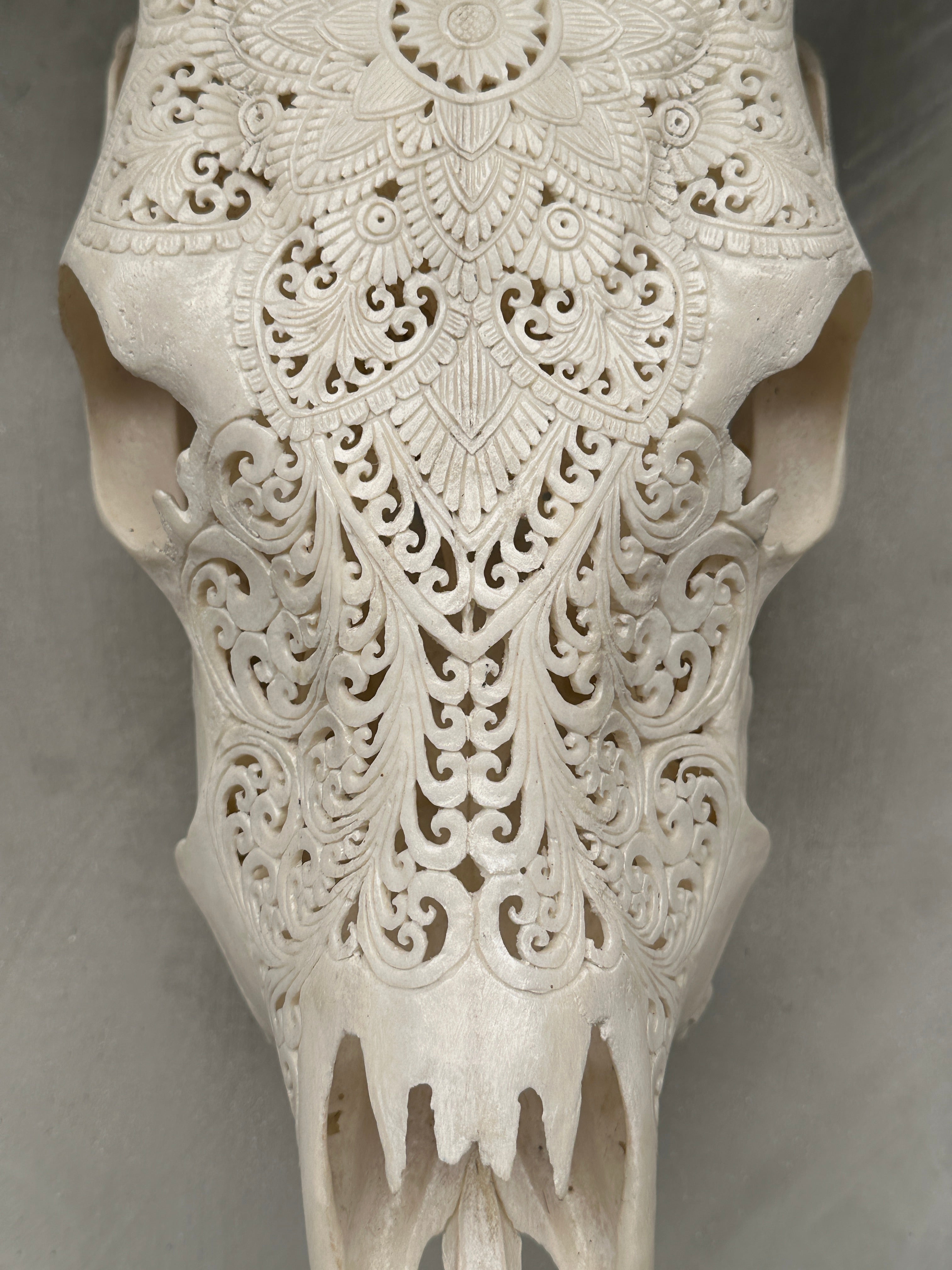 Cow Carved Floral - Skull,A/006