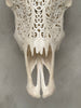 Cow Carved Floral - Skull,A/006