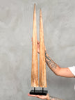 air of Natural Tusks on Stand – Rustic Tribal Decor, Bone Sculpture - Tusk,A/045