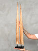air of Natural Tusks on Stand – Rustic Tribal Decor, Bone Sculpture - Tusk,A/045