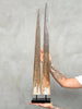 air of Natural Tusks on Stand – Rustic Tribal Decor, Bone Sculpture - Tusk,A/045