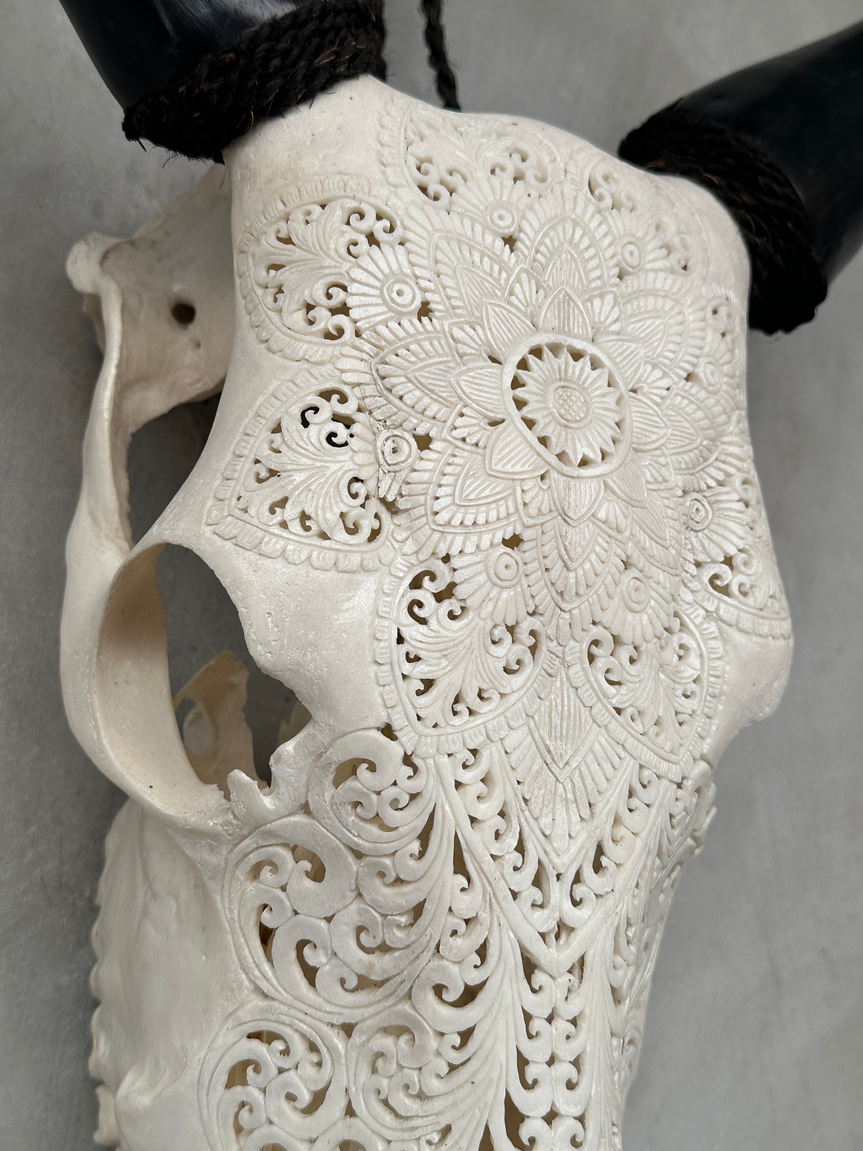 Cow Carved Floral - Skull,A/006