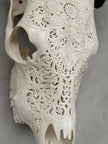 Cow Carved Floral - Skull,A/006