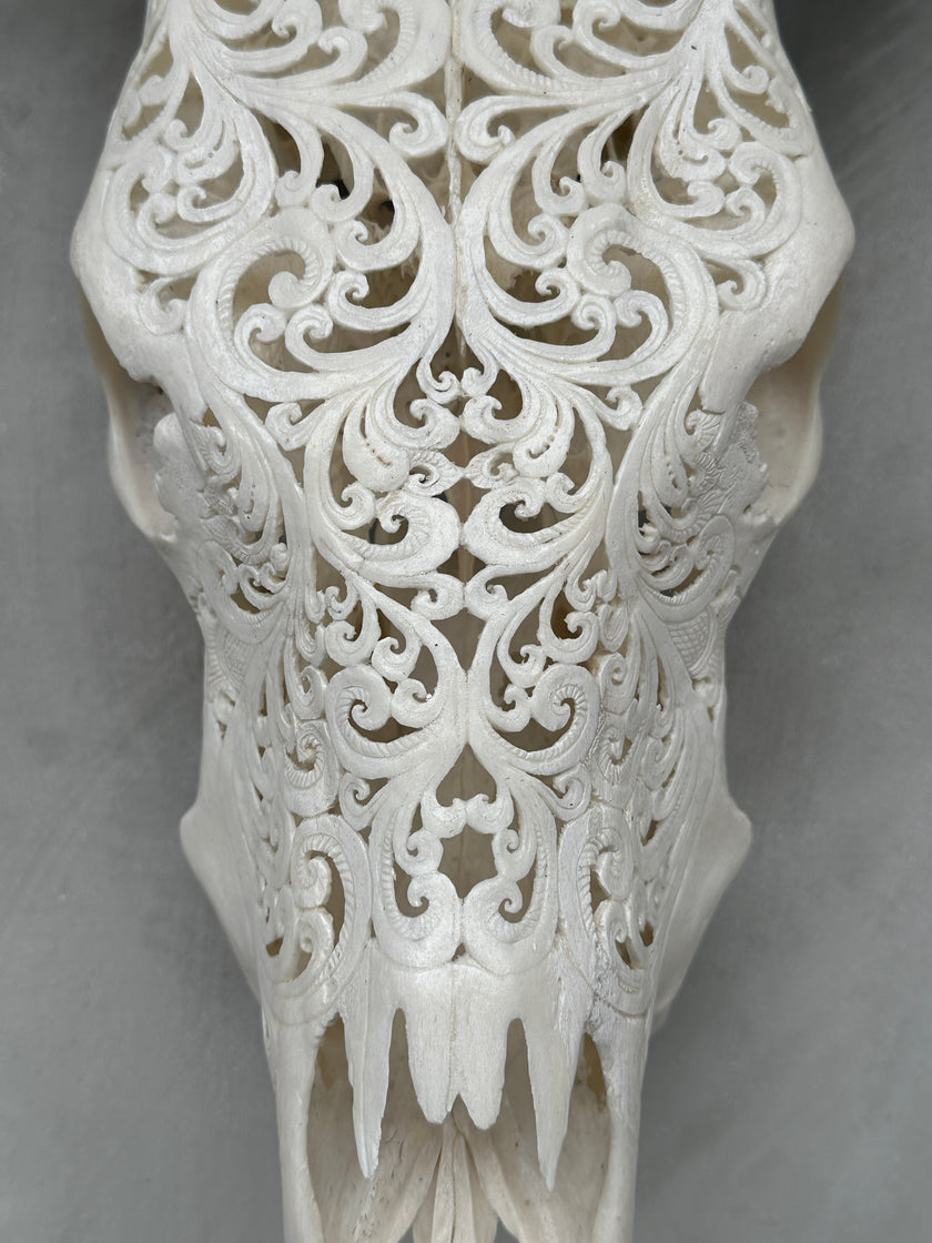Cow Carved Tradball - Skull,A/003