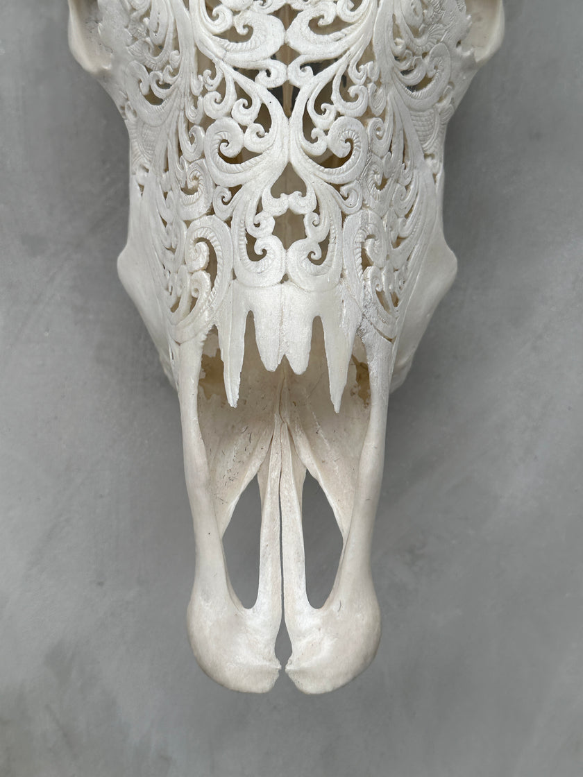 Cow Carved Tradball - Skull,A/003