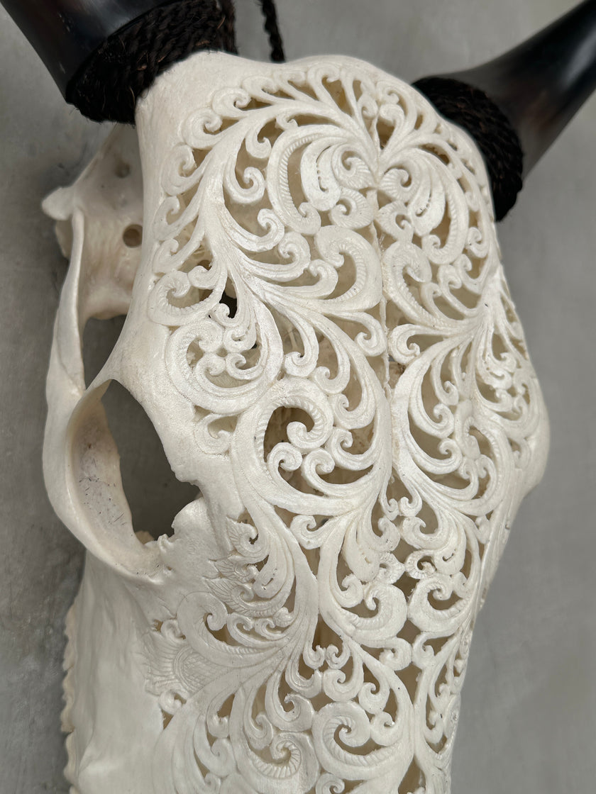 Cow Carved Tradball - Skull,A/003