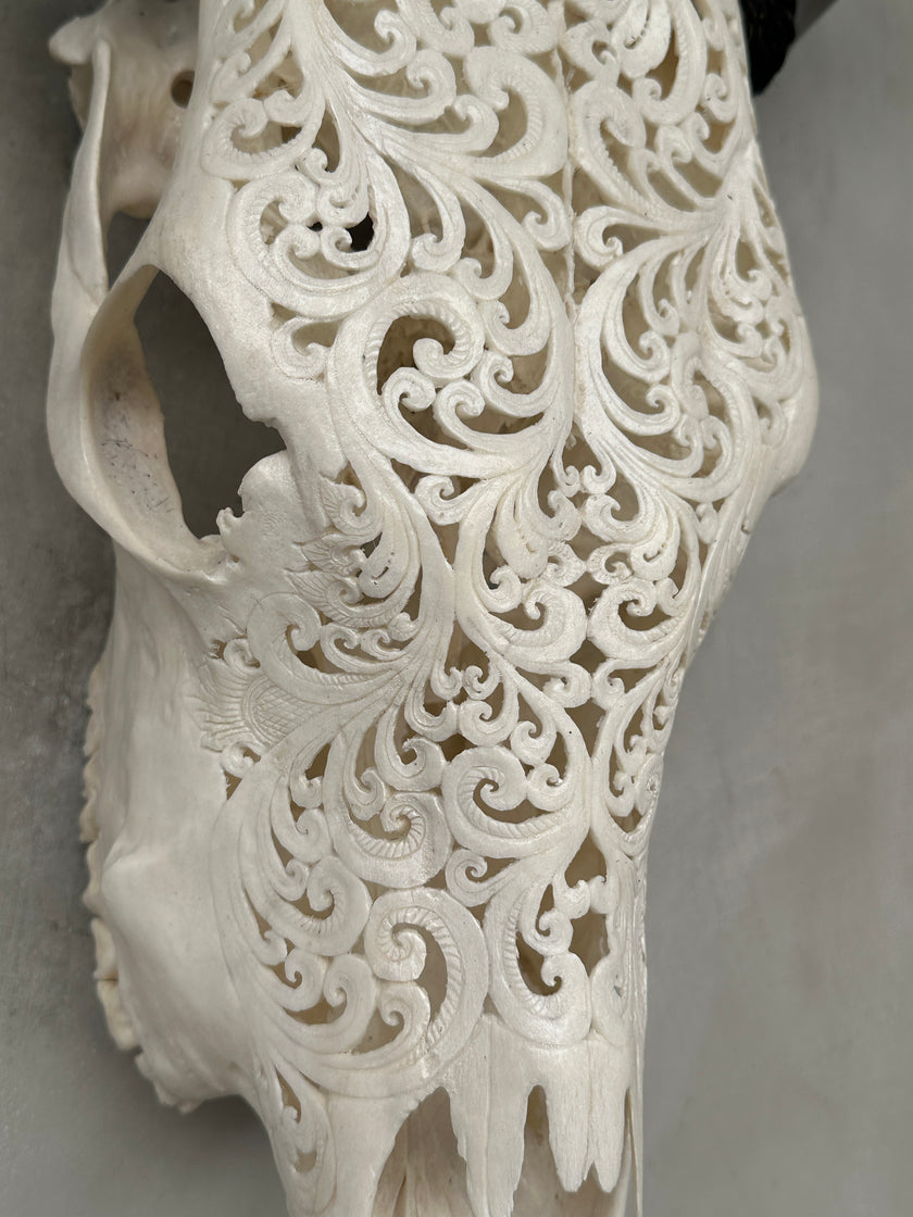 Cow Carved Tradball - Skull,A/003