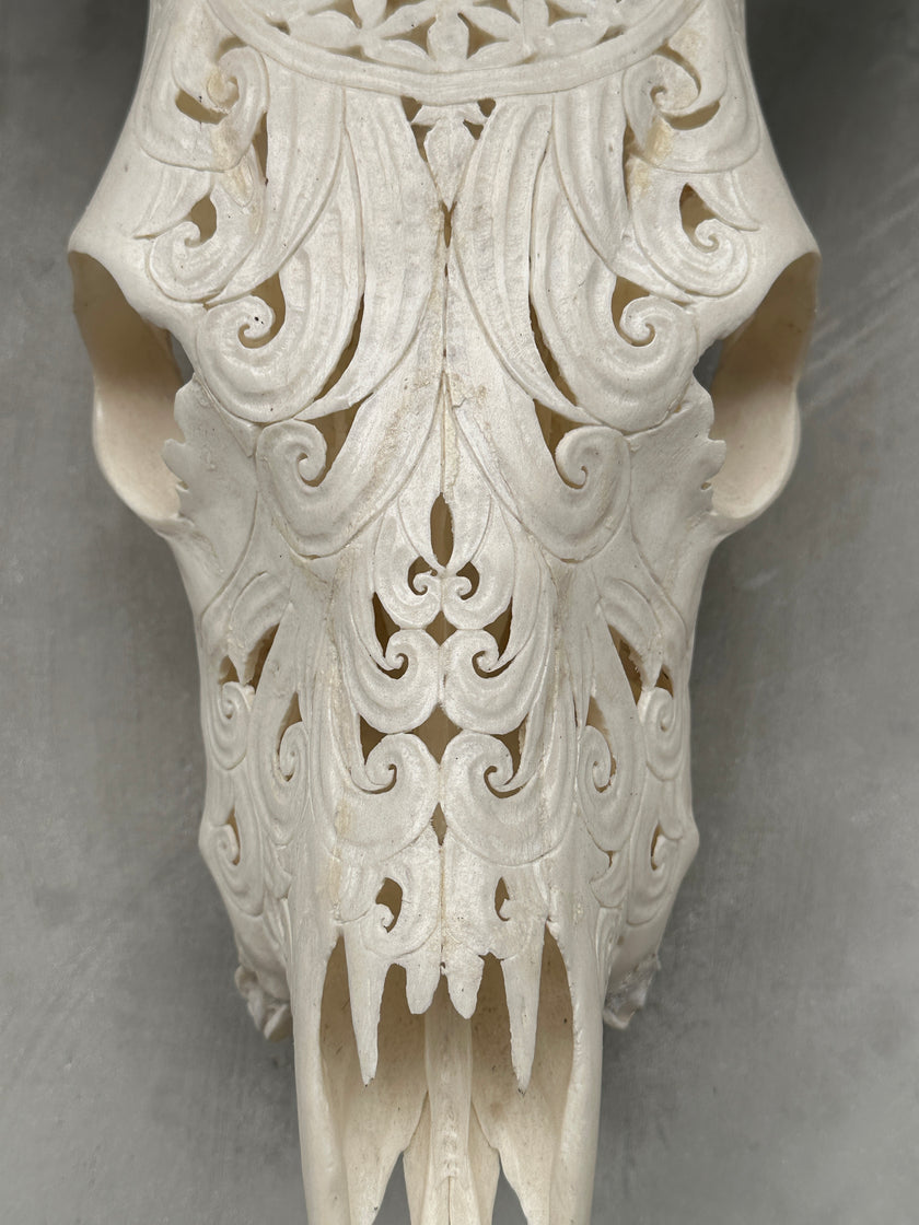 Cow Carved Flower Of Life - Skull,A/010