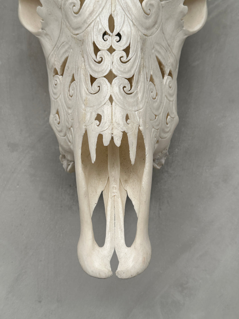 Cow Carved Flower Of Life - Skull,A/010