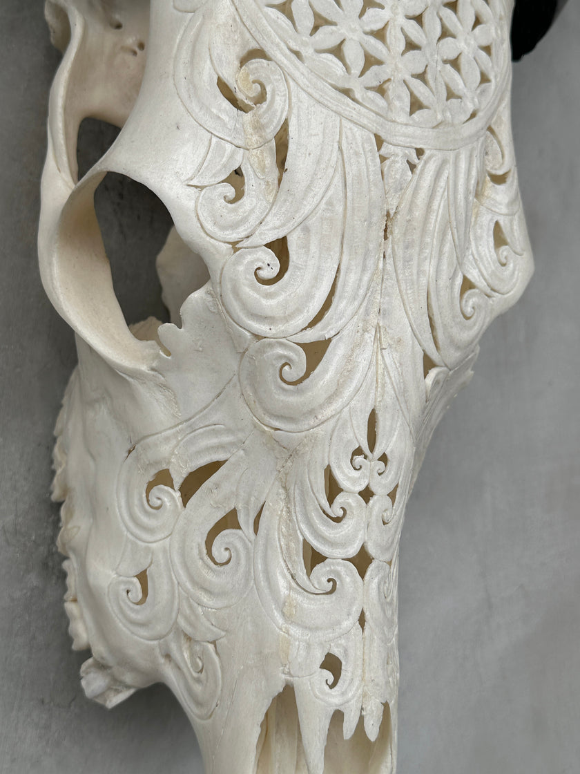 Cow Carved Flower Of Life - Skull,A/010