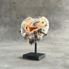 Wonderful Zebra Crystal Heart-Shaped on a custom stand 23/EX/541