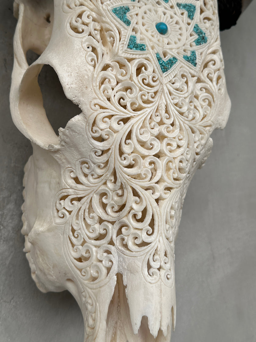 Cow Carved Star Mandala - Skull,A/013