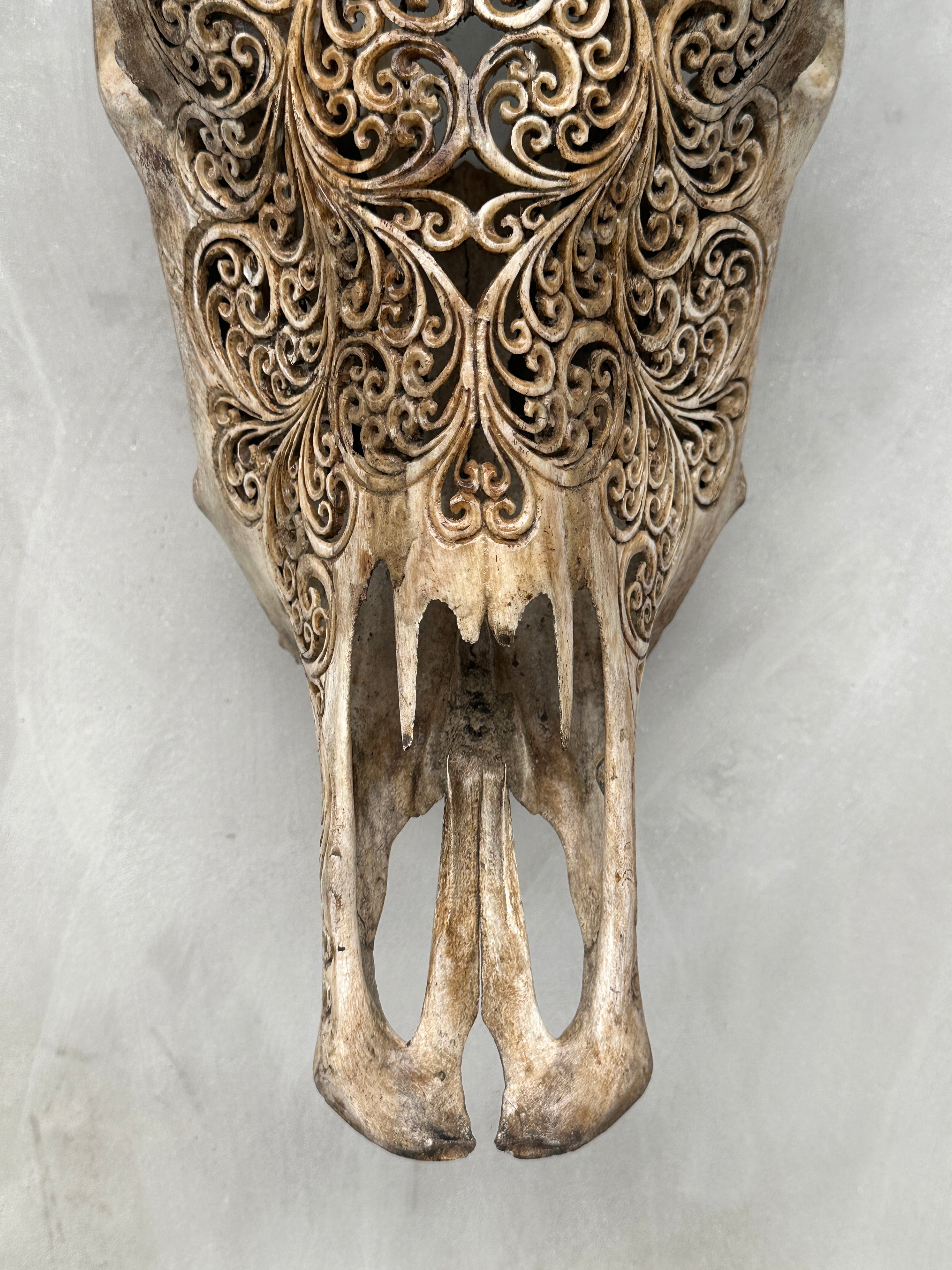 Bull Skull Carved Flower Mandala - Skull,A/041