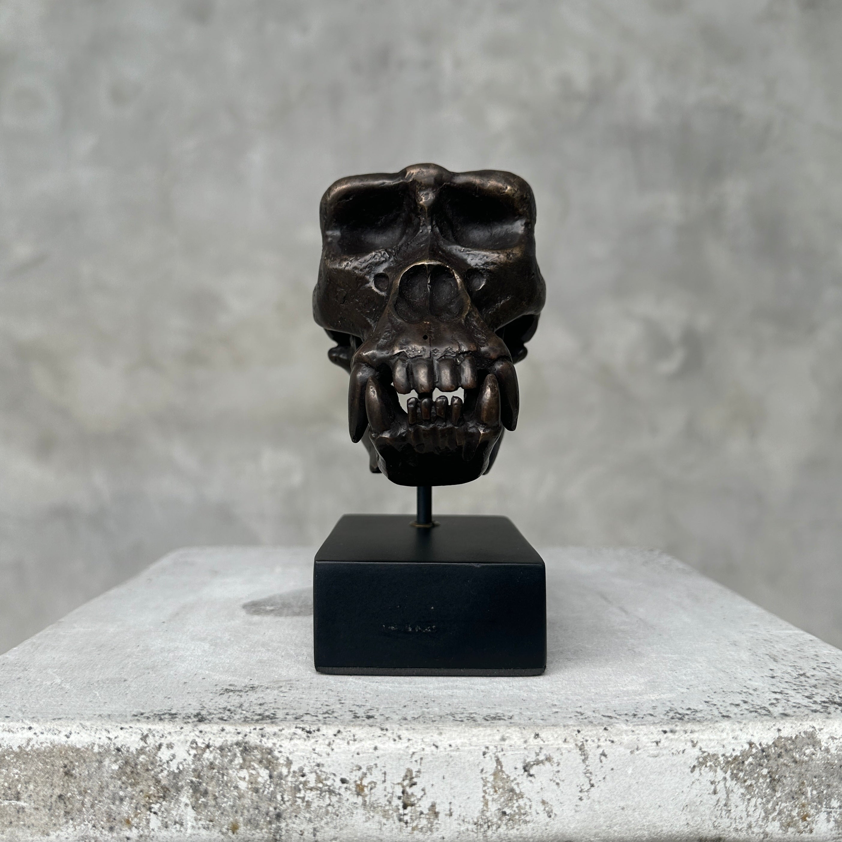 Bronze Gorilla Skull Patinated Brons - Small