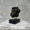 Bronze Gorilla Skull Patinated Brons - Small