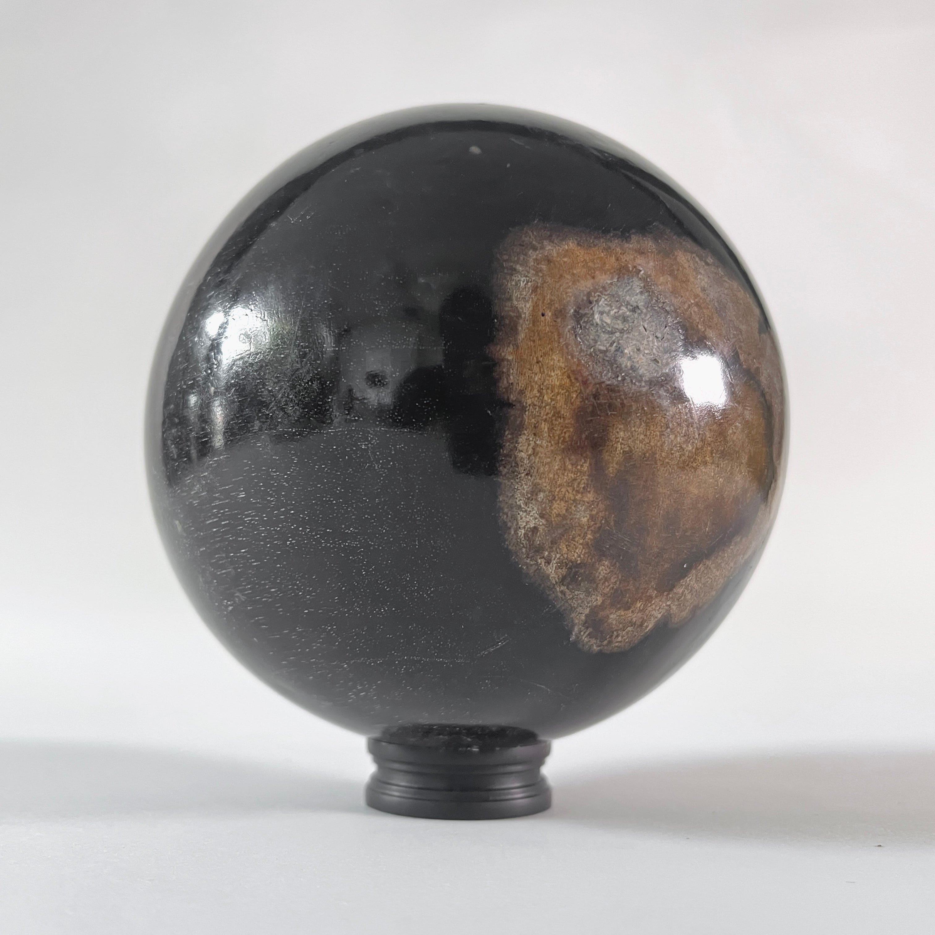 Wonderful Petrified wood Sphere on a custom stand SPHERES 066