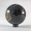 Wonderful Petrified wood Sphere on a custom stand SPHERES 066