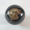 Wonderful Petrified wood Sphere on a custom stand SPHERES 066