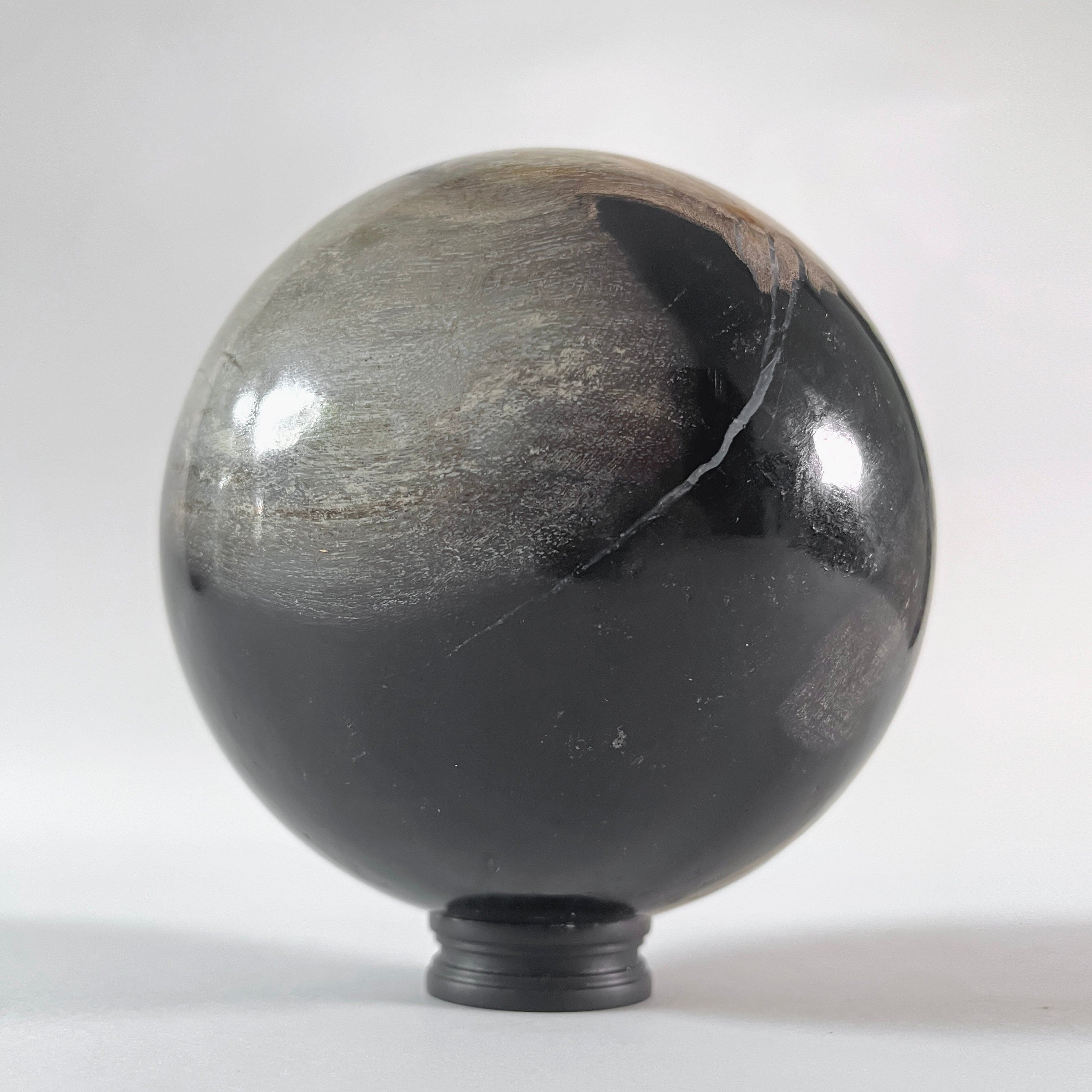 Wonderful Petrified wood Sphere on a custom stand SPHERES 065