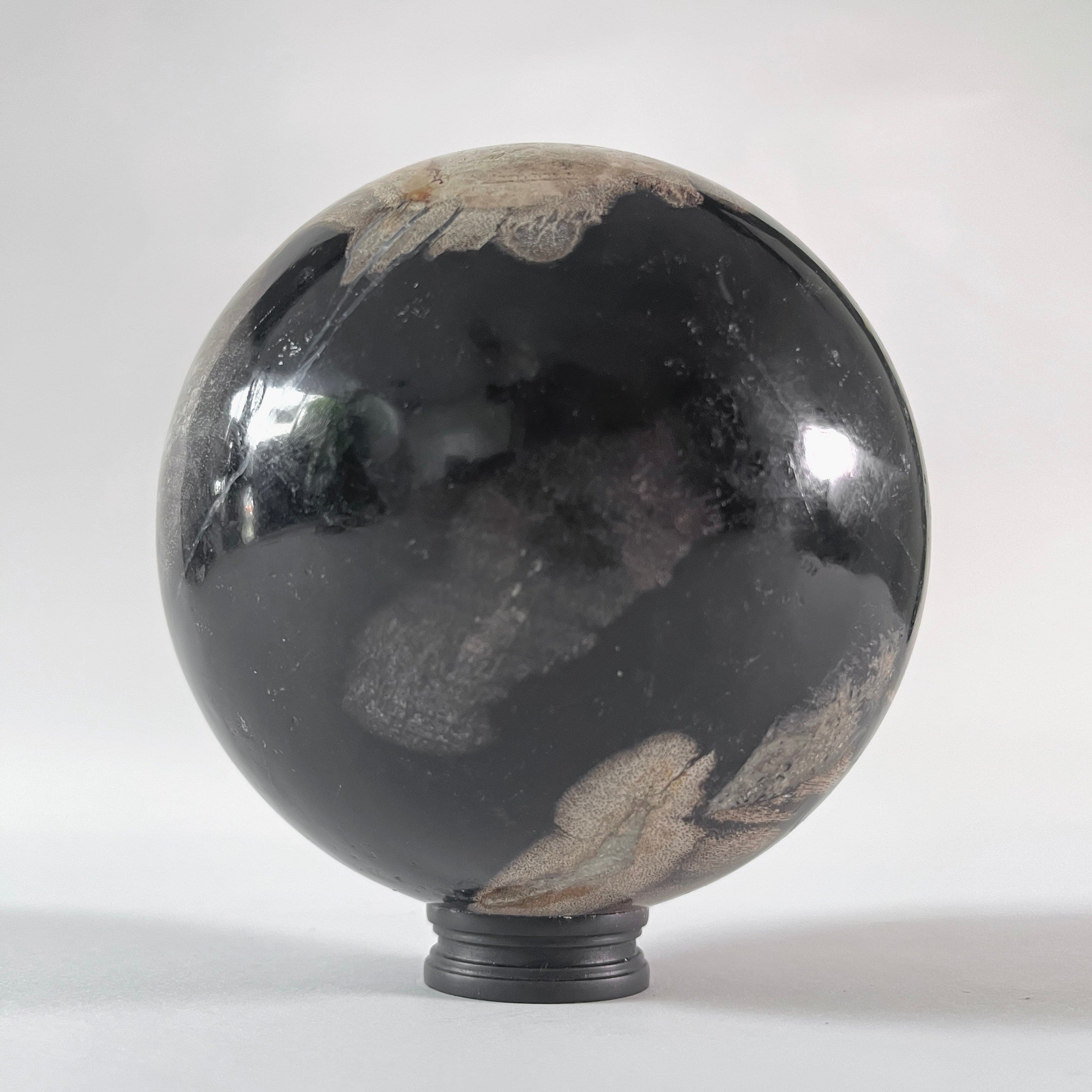 Wonderful Petrified wood Sphere on a custom stand SPHERES 065