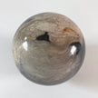 Wonderful Petrified wood Sphere on a custom stand SPHERES 065