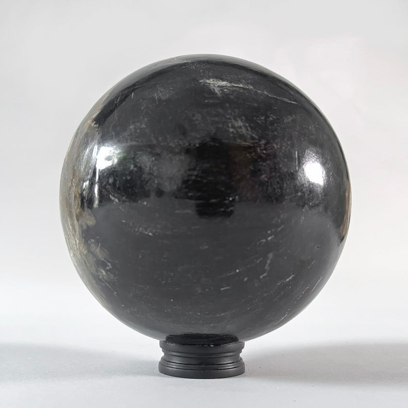 Wonderful Petrified wood Sphere on a custom stand SPHERES 062