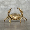 Crab Polished Bronze  - Medium