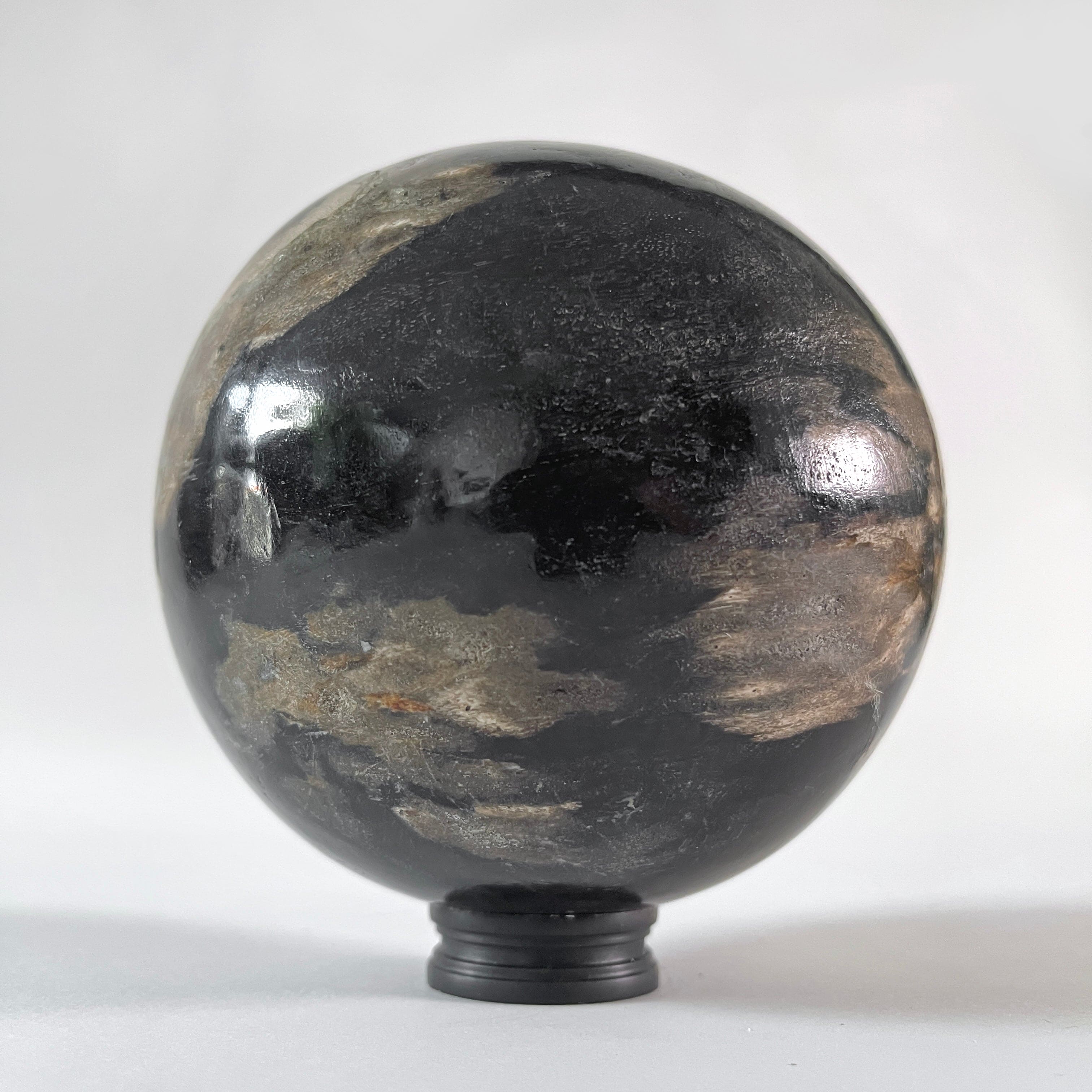 Wonderful Petrified wood Sphere on a custom stand SPHERES 062