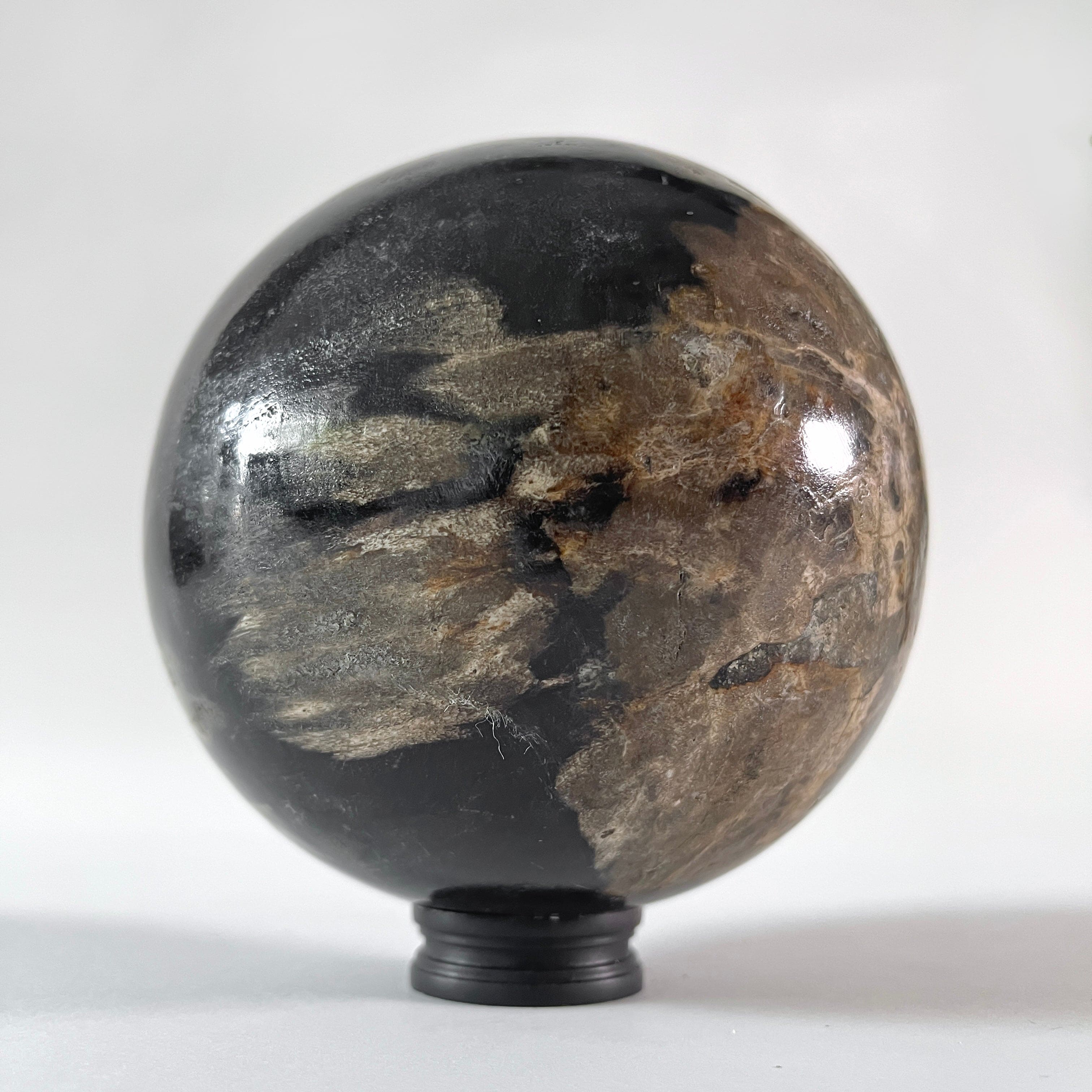 Wonderful Petrified wood Sphere on a custom stand SPHERES 062