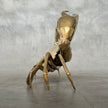 Crab Polished Bronze  - Medium