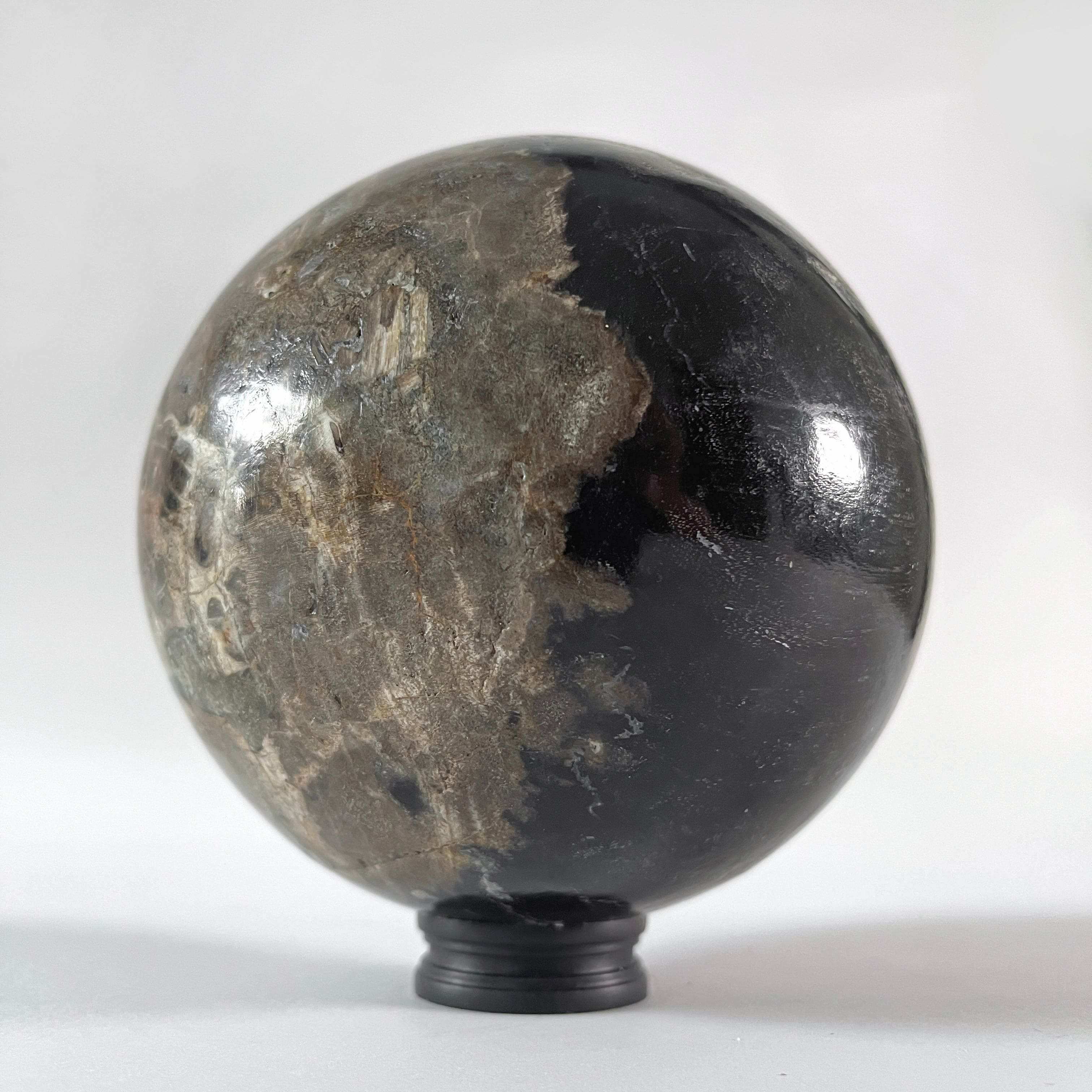 Wonderful Petrified wood Sphere on a custom stand SPHERES 062