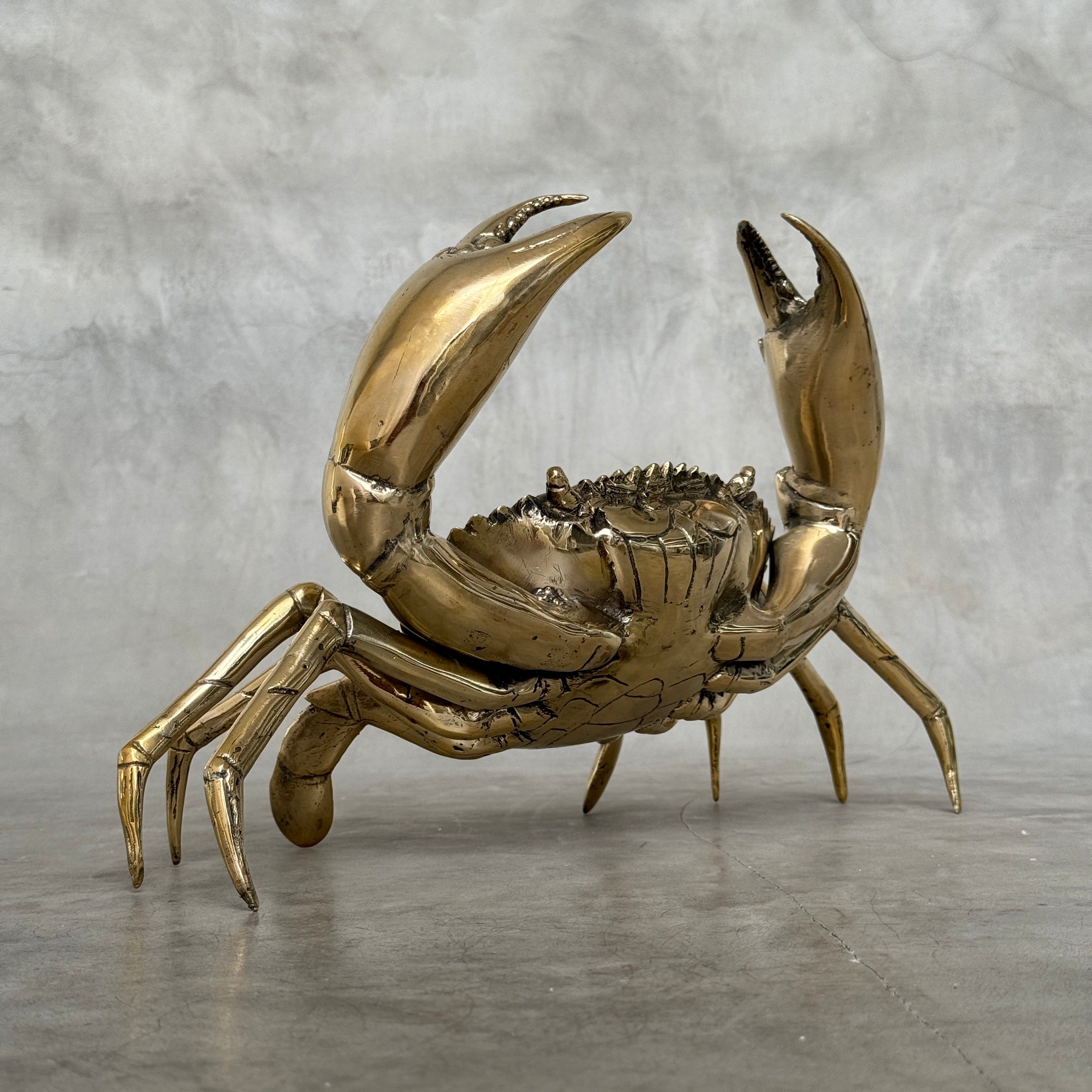 Crab Polished Bronze  - Medium