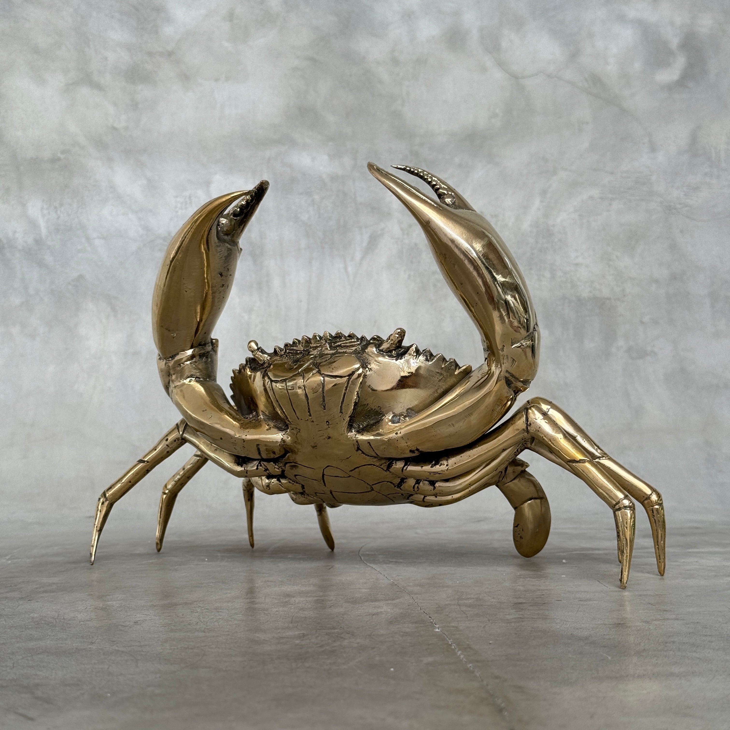 Crab Polished Bronze  - Medium