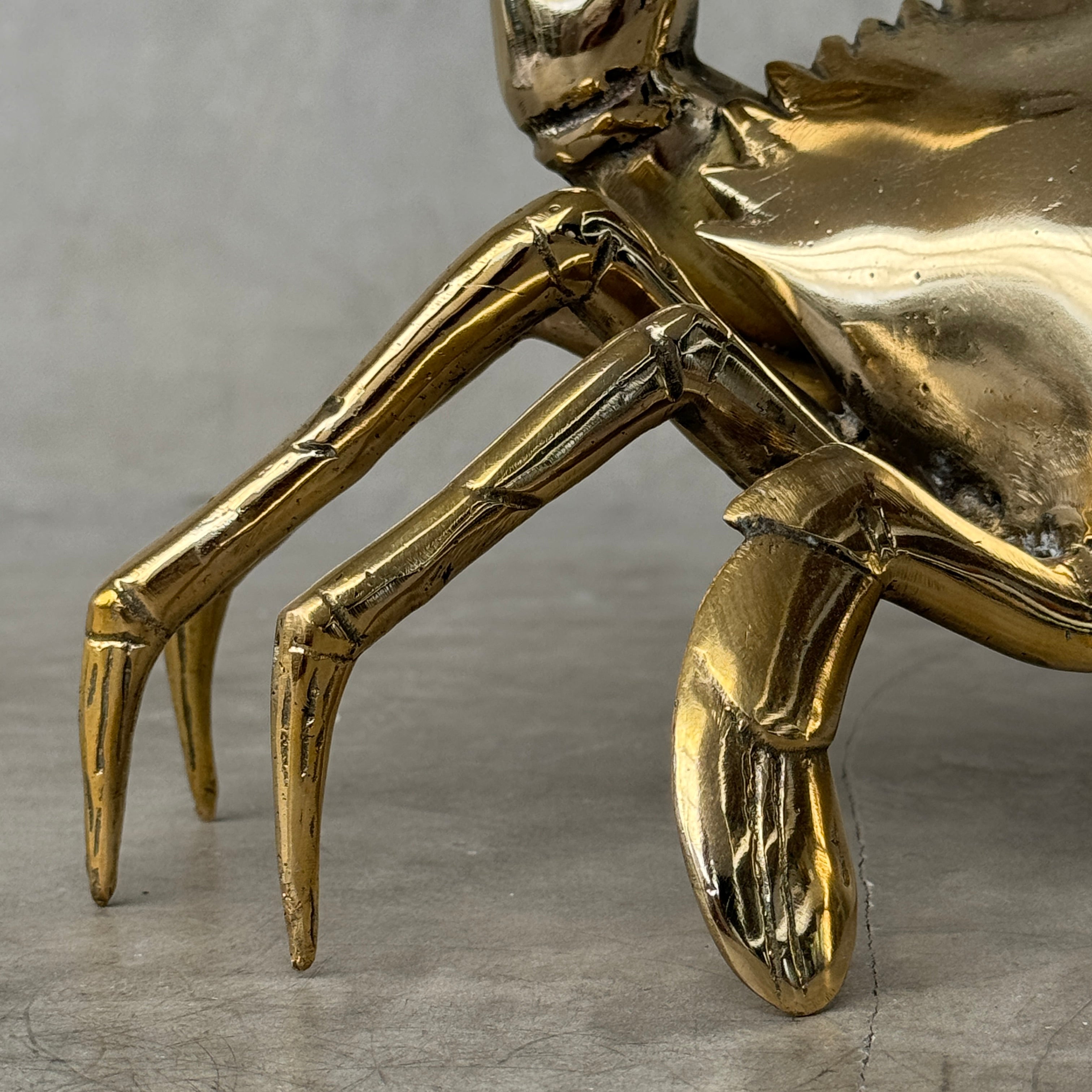 Crab Polished Bronze  - Medium