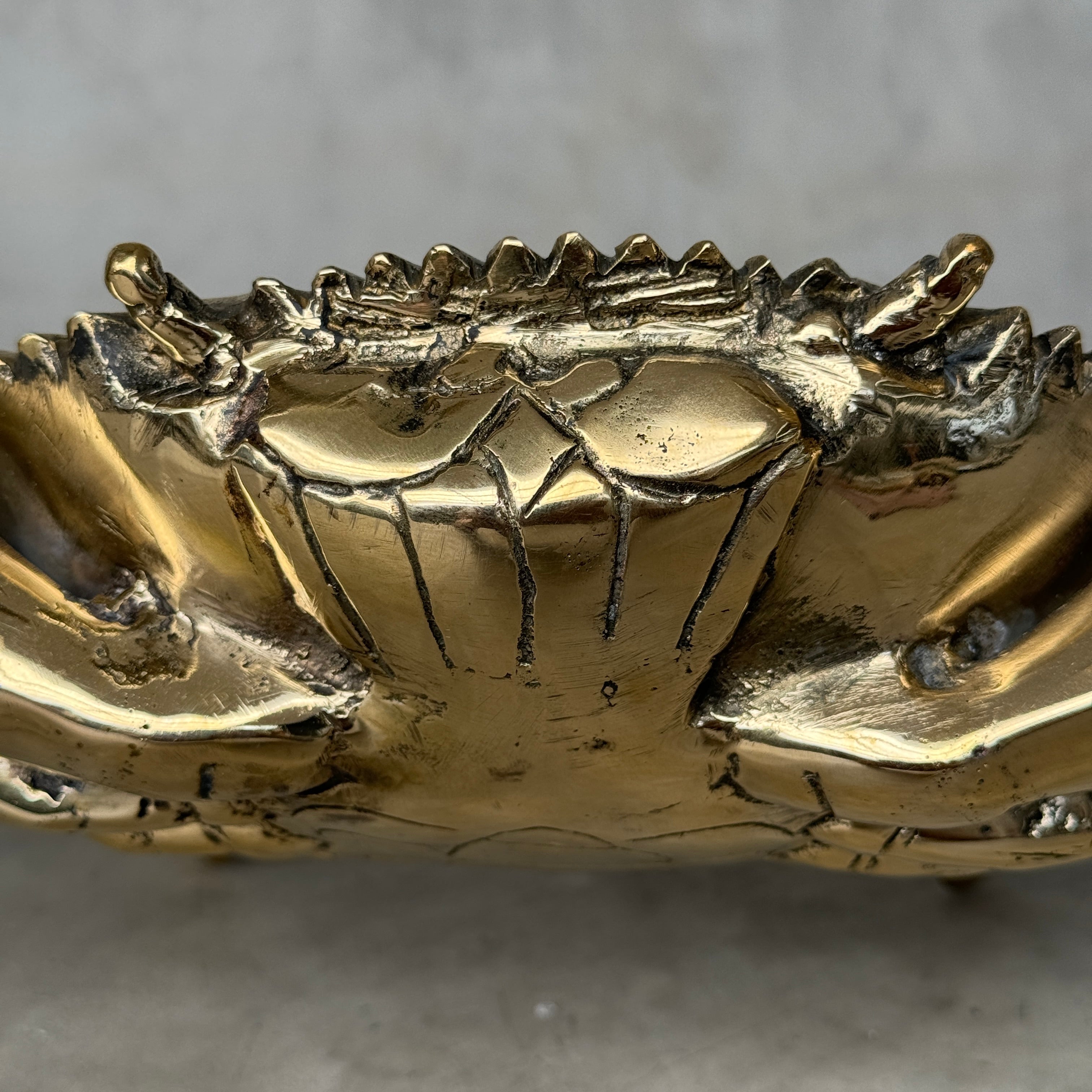 Crab Polished Bronze  - Medium