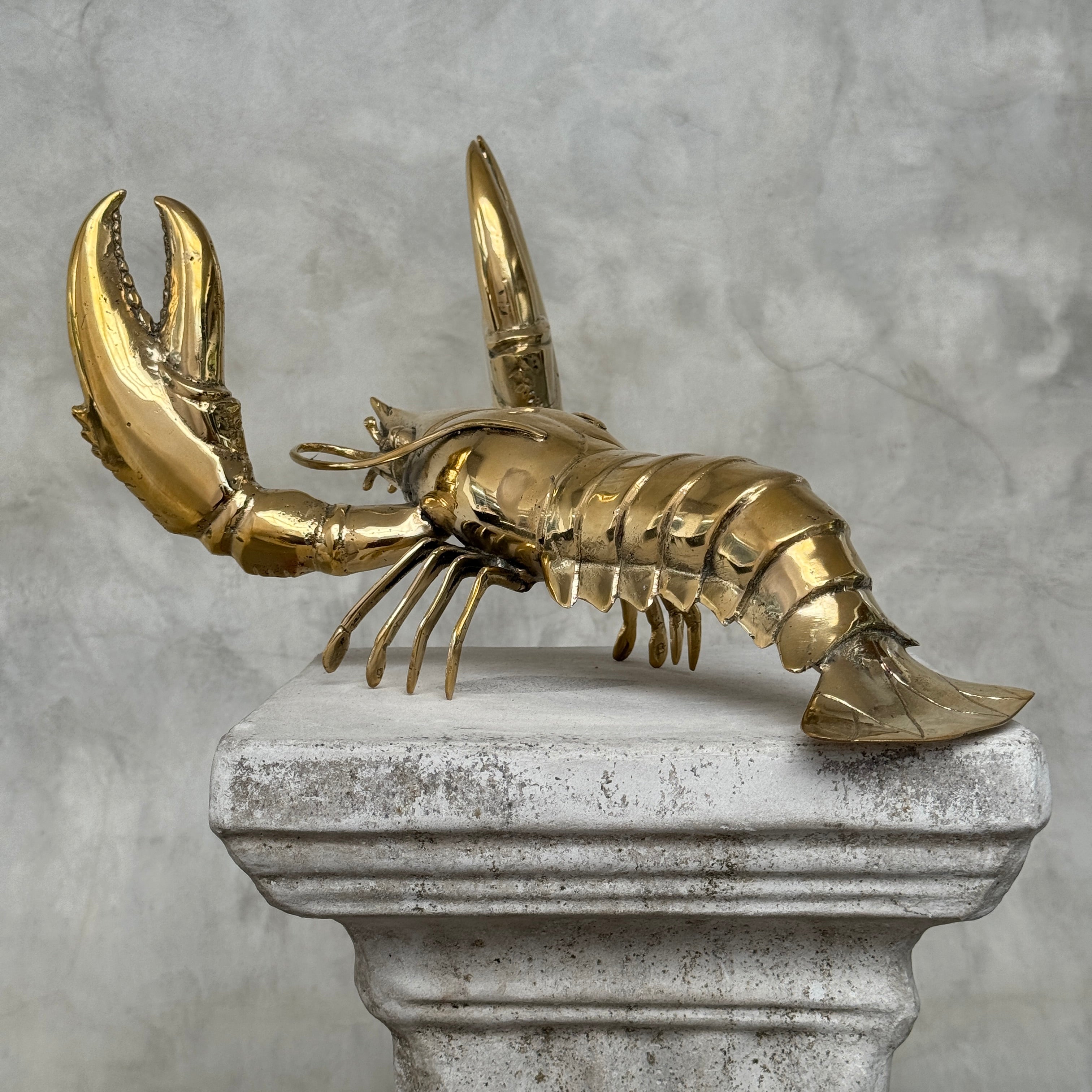 Lobster Polished Bronze - Large