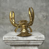 Lobster Polished Bronze - Large